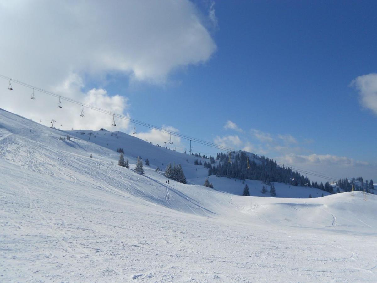 Hedonic Apartment Kopaonik Luaran gambar